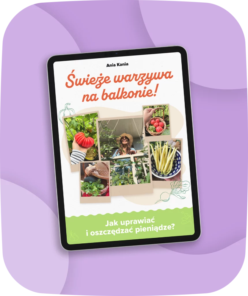 Świeże warzywa na balkonie - główny mockup