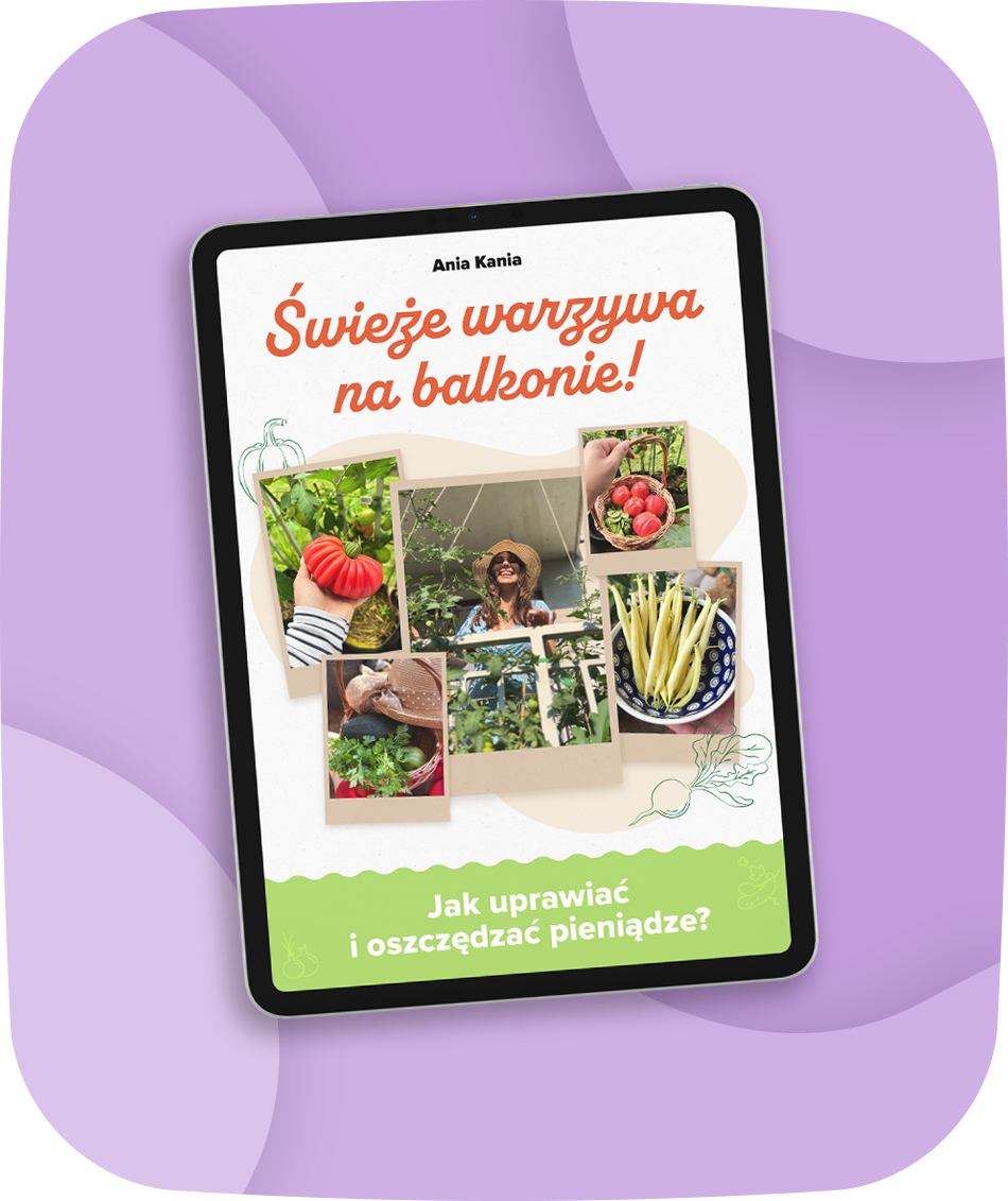 Świeże warzywa na balkonie - główny mockup